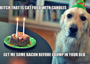 Sad Birthday Dog