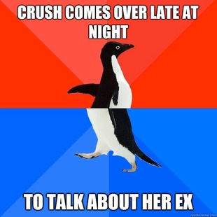 Socially Awesome Awkward Penguin