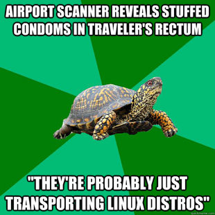 Torrenting Turtle