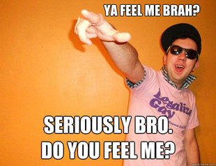 Gay Bro