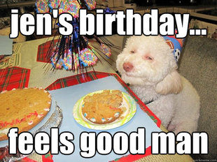 Stoned Birthday Dog