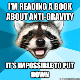 Lame Pun Coon