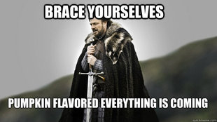 Ned stark winter is coming