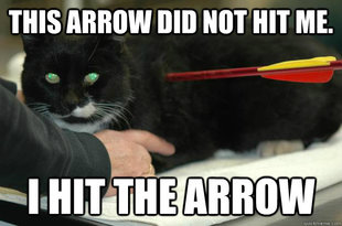 Worlds Toughest Cat