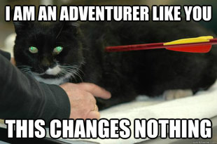 Worlds Toughest Cat