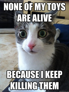Sudden Clarity Cat