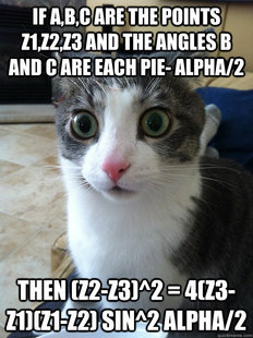 Sudden Clarity Cat