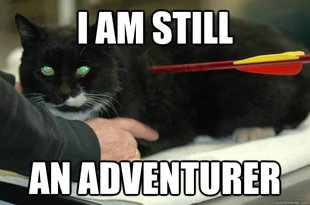Worlds Toughest Cat