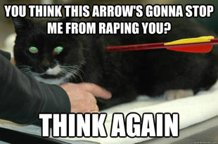 Worlds Toughest Cat