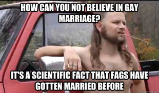 Almost Politically Correct Redneck