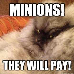 Angriest Cat