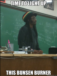 Rasta Science Teacher