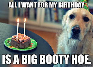Sad Birthday Dog