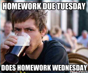 Lazy College Senior
