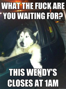 Mean Dog