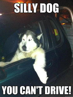Mean Dog