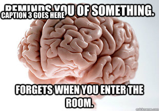 Scumbag Brain
