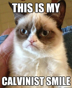 Grumpy cat