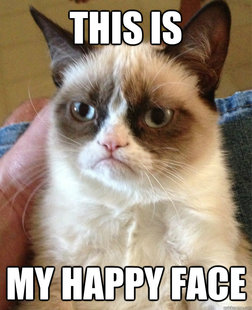 Grumpy cat