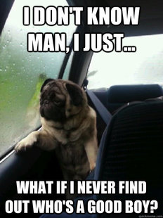 Introspective Pug