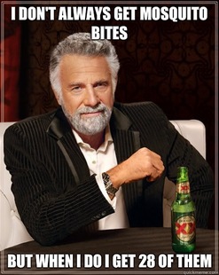 Dos Equis man