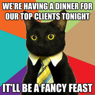 business cat