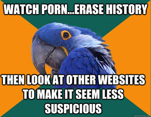 Paranoid Parrot
