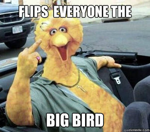 Big Bird