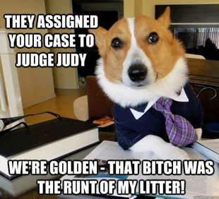Lawyer Dog