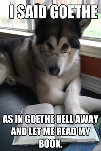 Condescending Literary Pun Dog