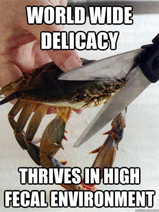 Optimistic Crab