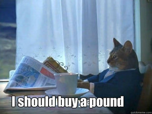 Fancy Cat