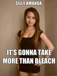 amanda Bleach Todd
