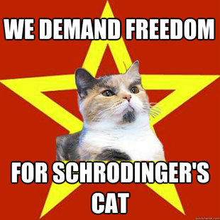 Lenin Cat
