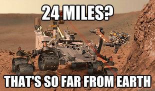 Unimpressed Curiosity