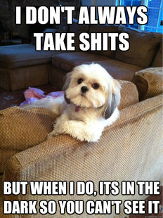 Most Interesting Dog in the World