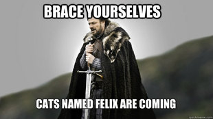 Ned stark winter is coming