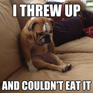 depressed dog