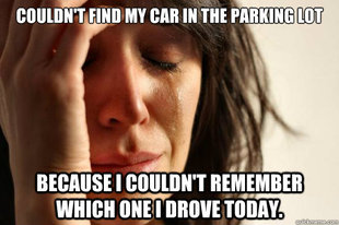 First World Problems
