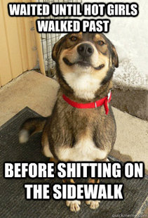 Good Dog Greg
