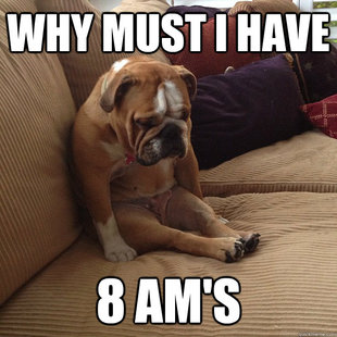 depressed dog
