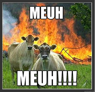 Evil cows