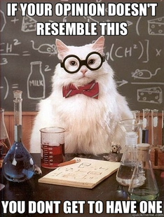 Chemistry Cat