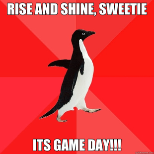 Socially Awesome Penguin