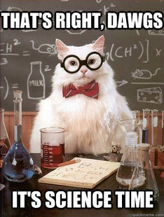 Chemistry Cat