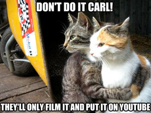 Restraining Cat