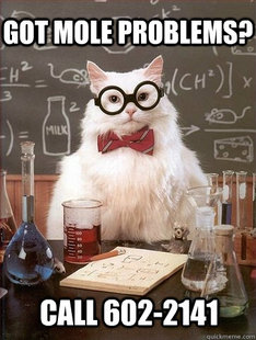 Chemistry Cat