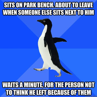 Socially Awkward Penguin