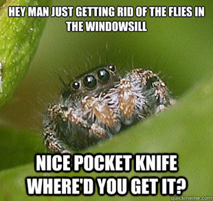 Misunderstood Spider