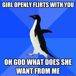 Socially Awkward Penguin